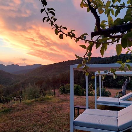 Villa Giuliana B&B 스카페리아 외부 사진