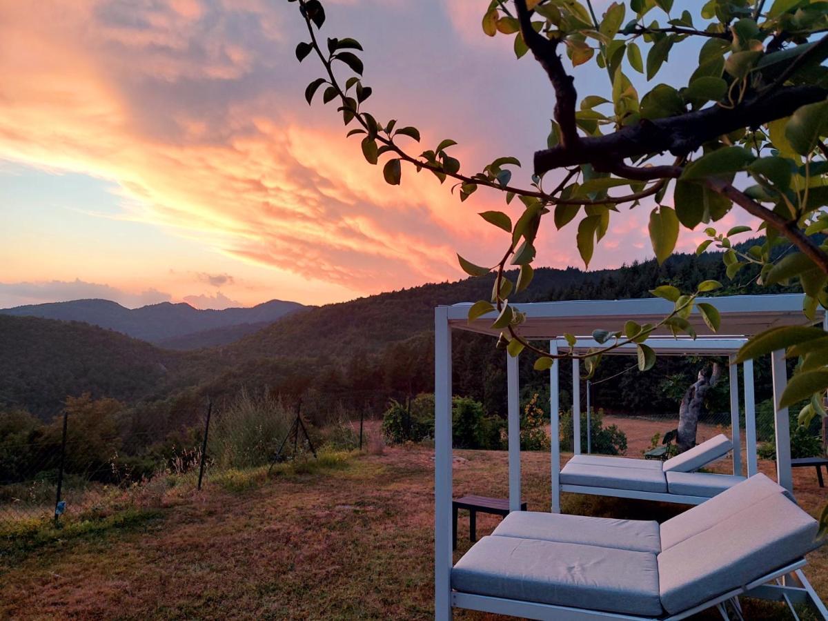 Villa Giuliana B&B 스카페리아 외부 사진