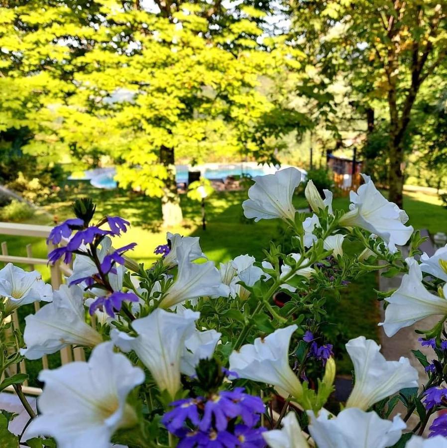 Villa Giuliana B&B 스카페리아 외부 사진